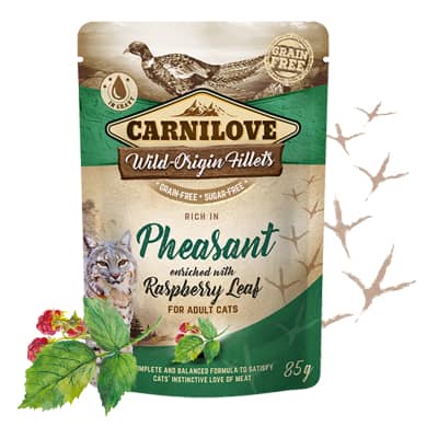 Carnilove Pheasant & Raspberry Leaf konservi kaķiem ar fazānu mērcē 85 g
